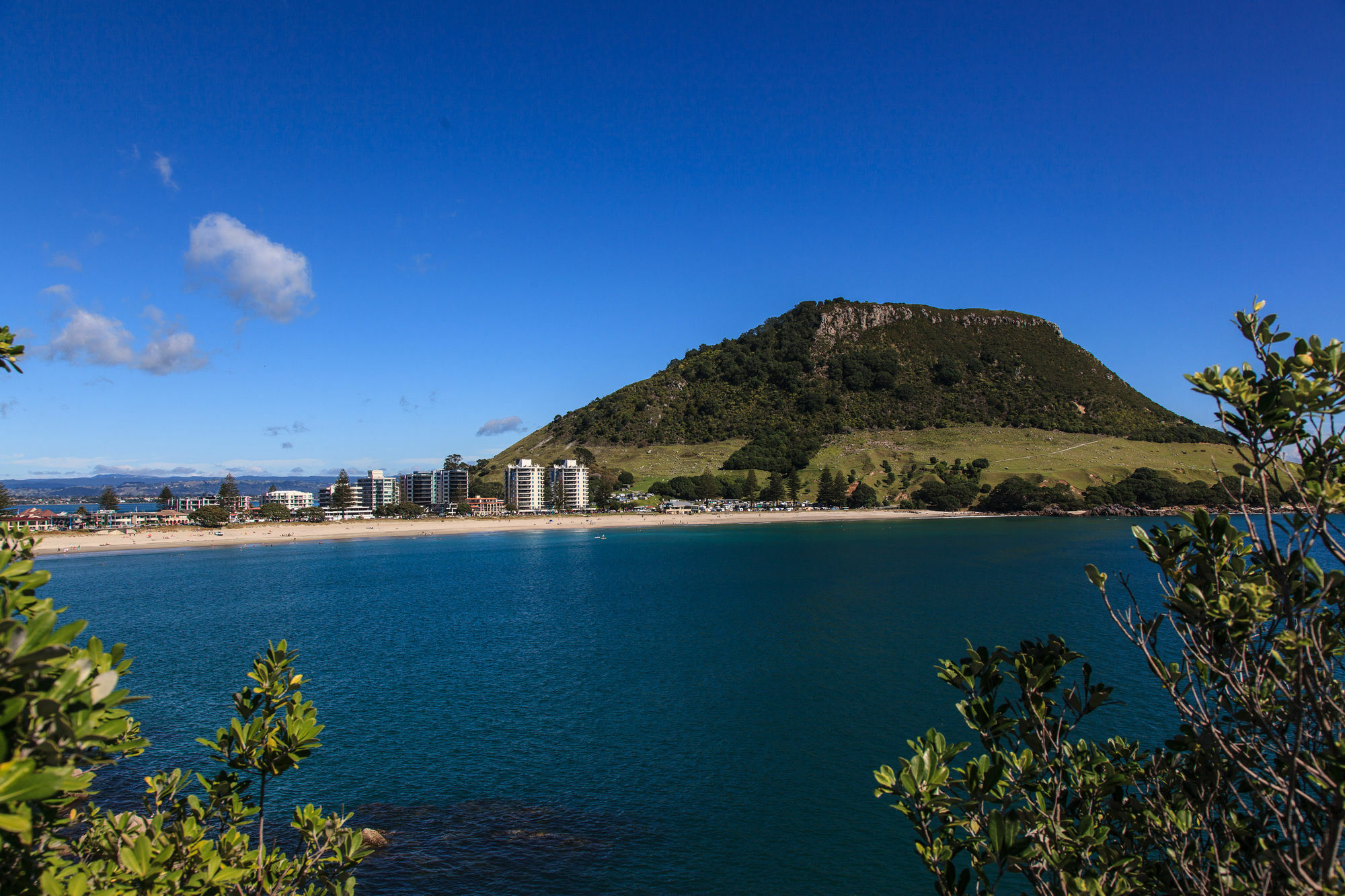 Seascape Villa B&B Tauranga Luaran gambar